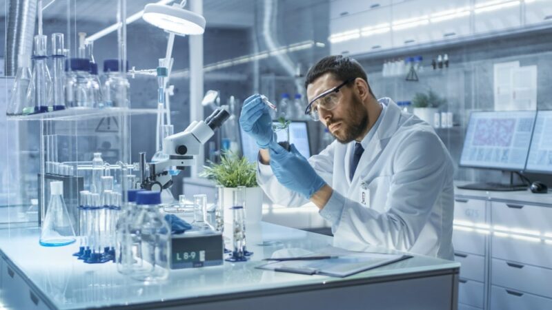 Comprendre l’expérimentation et l’évaluation des produits phytopharmaceutiques : méthodes, pratiques, cadre et normes