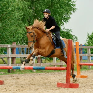 Comment bien choisir les protections de son cheval selon sa discipline