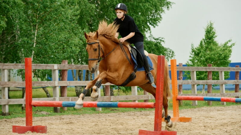 Comment bien choisir les protections de son cheval selon sa discipline